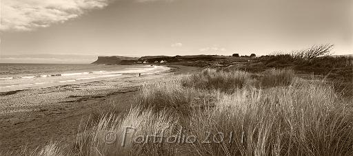 ballycastle beach grass pano mono.jpg